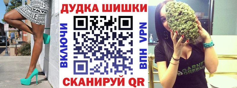 Купить где  Сясьстрой  Конопля ГИДРОПОН 